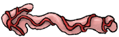Previous