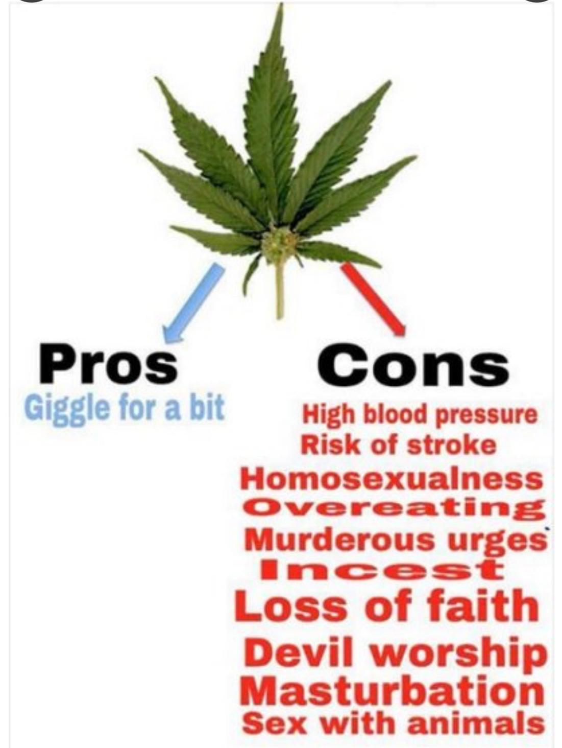 A meme listing the pros and cons of weed, with 'Giggle for a bit' as the only pro against a long list of absurd cons