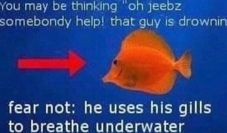 An image macro of an orange tang fish captioned 'fear not: he uses his gills to breathe underwater'
